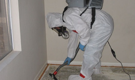 Mold-Removal-Advanced-contractor