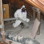 Mold-Removal-for-Renovation-and-Remodeling