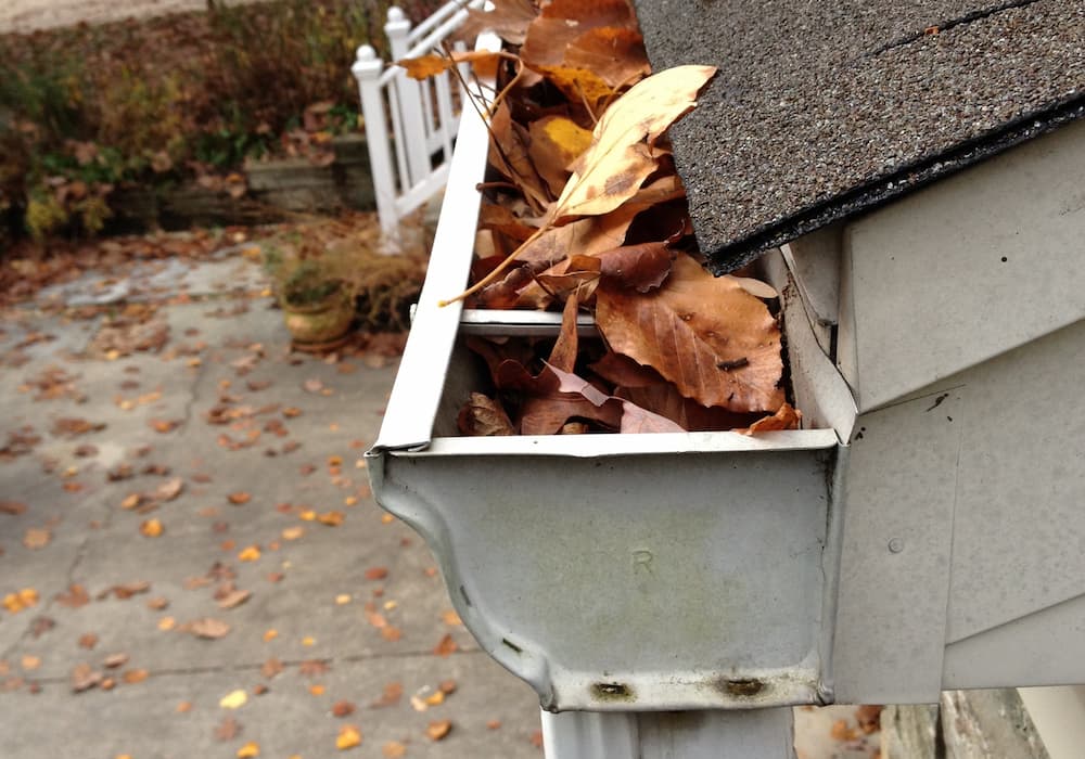 November Home Maintenance Guide