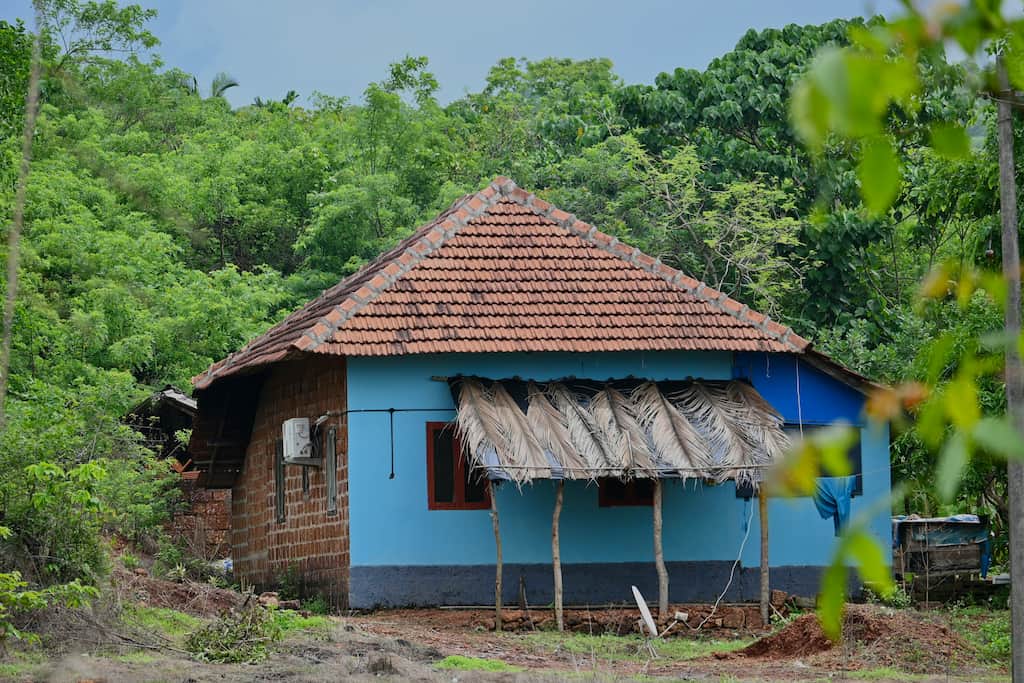 Home Services & Repairs